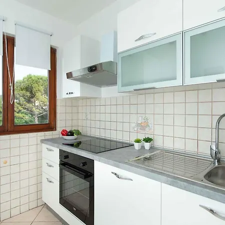 Apartment In Malinska/insel Krk 12771 *